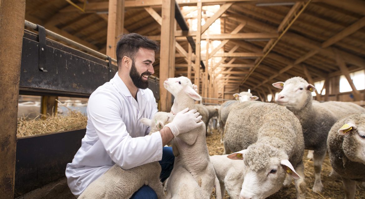 servicio técnico-veterinario