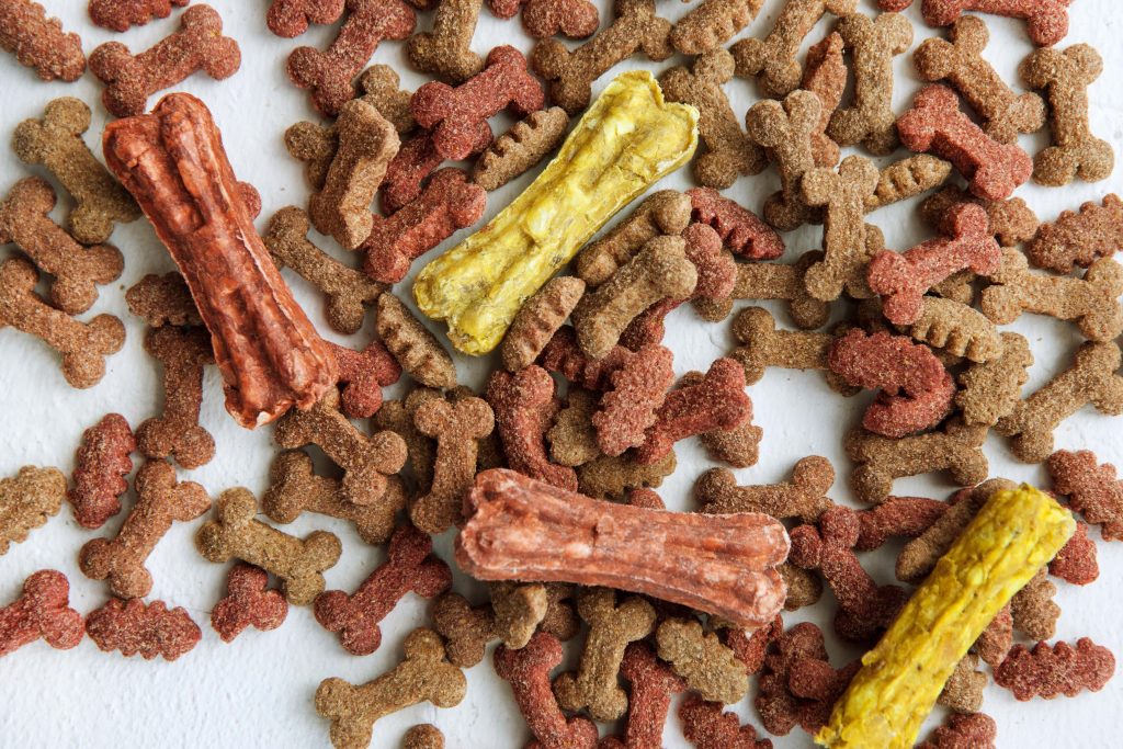 pienso natural para perros