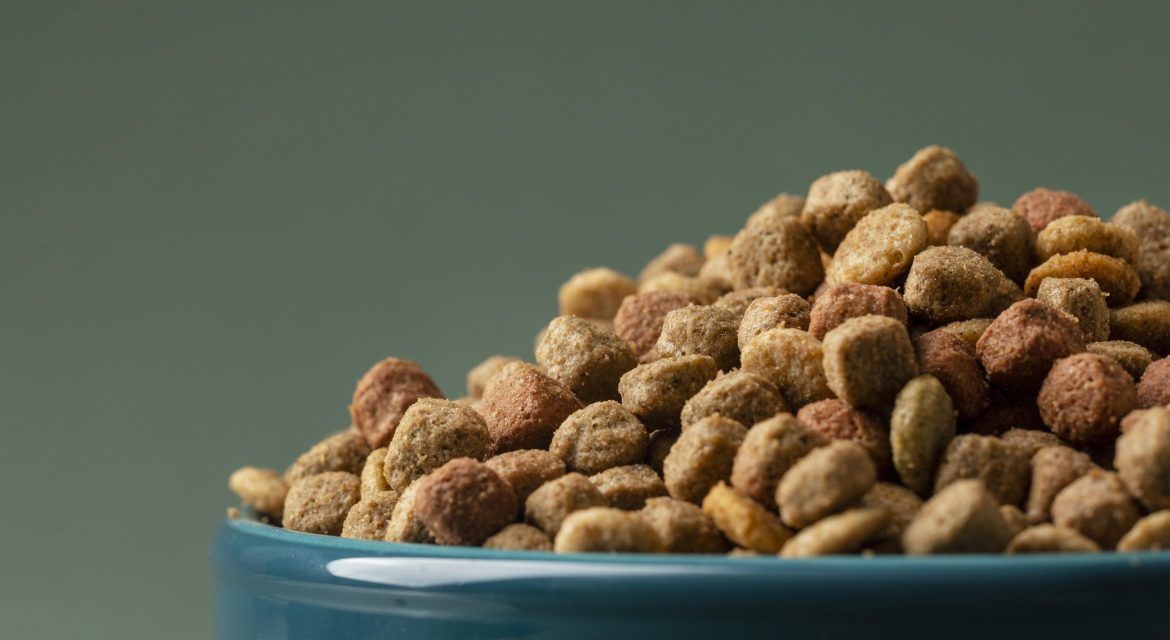 mejores piensos para perros