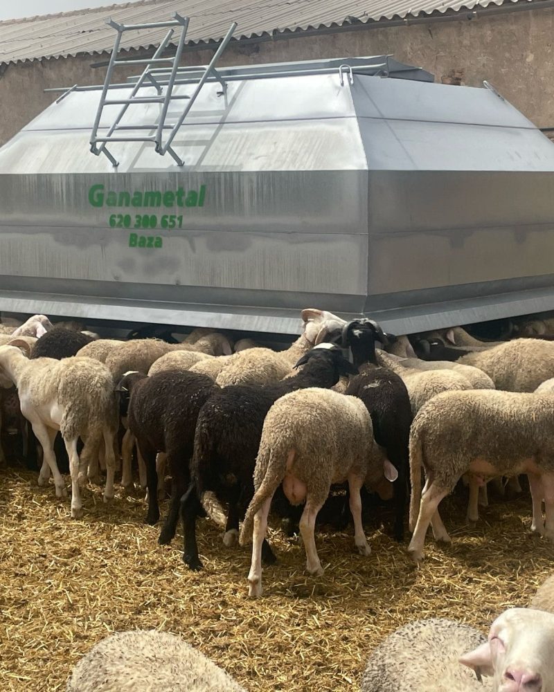 2de7664c-12b1-4d45-9d6a-2eb6b05cbf45-min